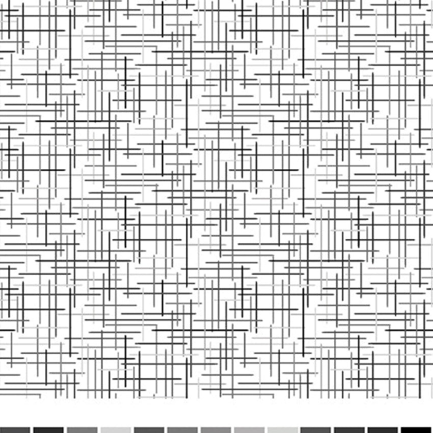 Zest Spirit Silver by Modern Quilt Studio for BENARTEX 13571-08