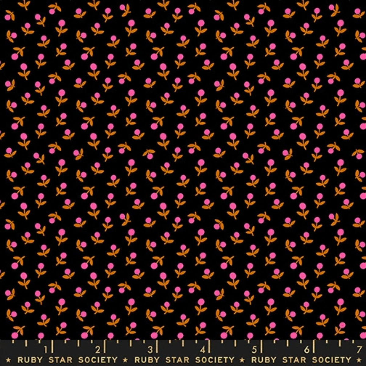 1 800 Calico Sprout Ditsy Floral Blender Retro Black by Alexia Abegg Ruby Star Society RS4103 29 RULER