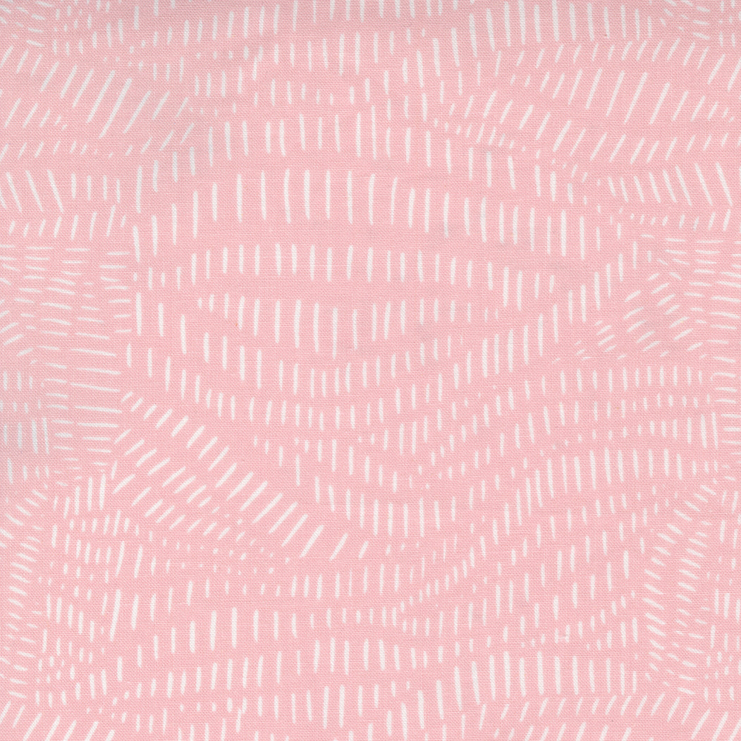 Gingiber - Words to Live By - Scattered Lines Cameo