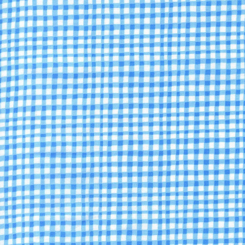 Gingham Play in Blue Michael Miller Fabrics CX7161BLUE