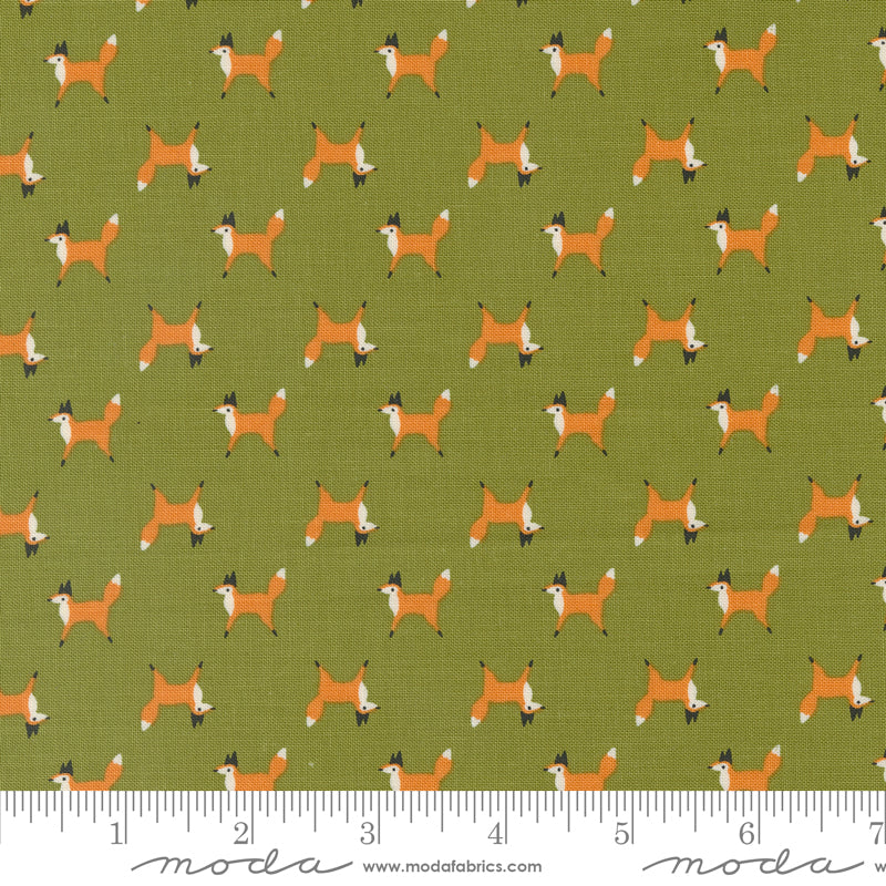 Gingiber - Woodland Wonder - Fox Trot in Fern 48394 19