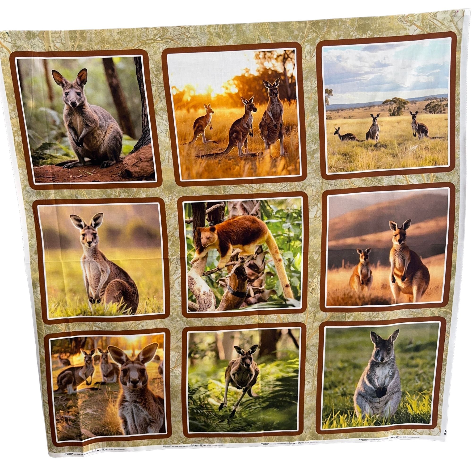 Marsupial Moments Australian Native Animals Block Collage Panel 4125C