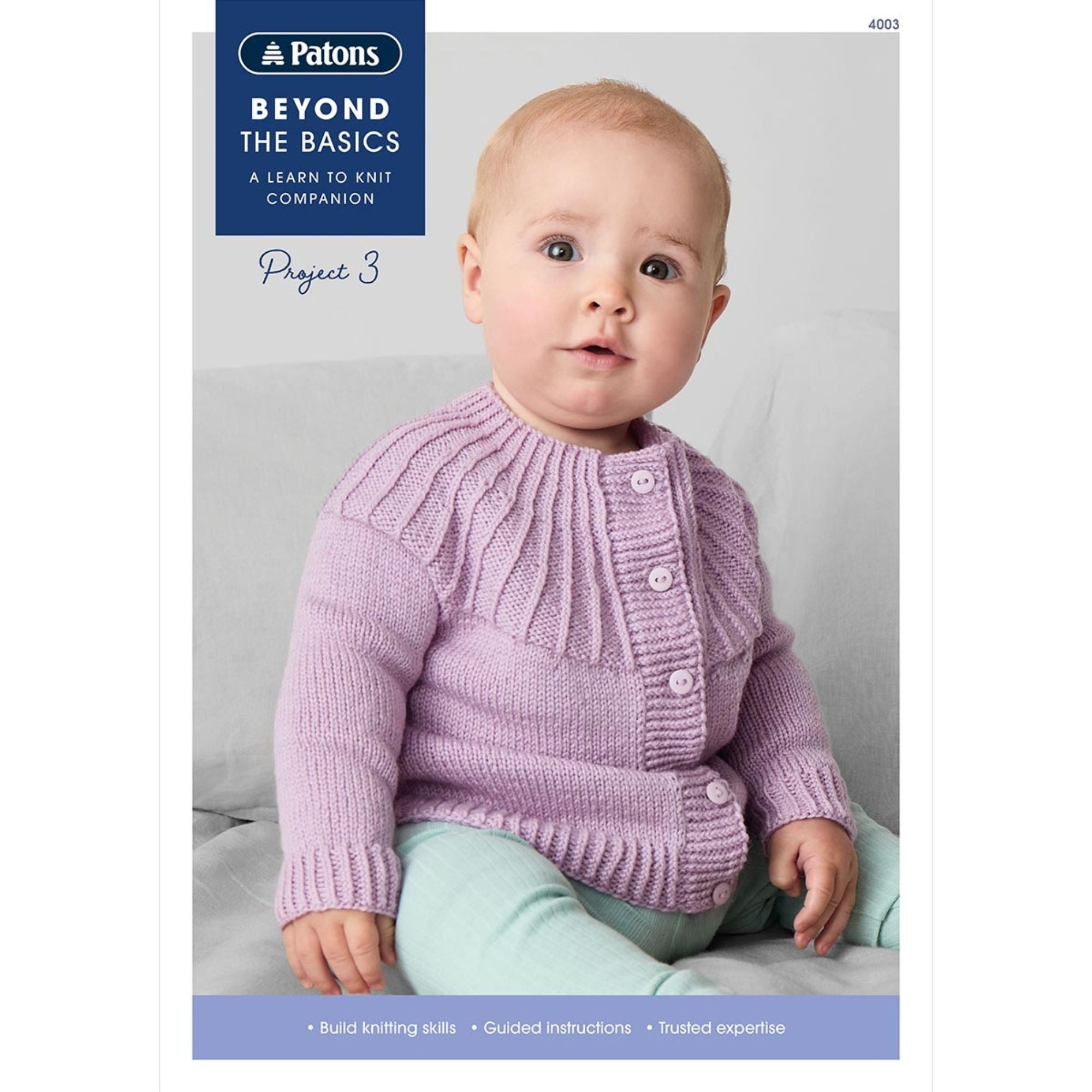 Patons: Beyond the Basics Project 3 Knitting 4003