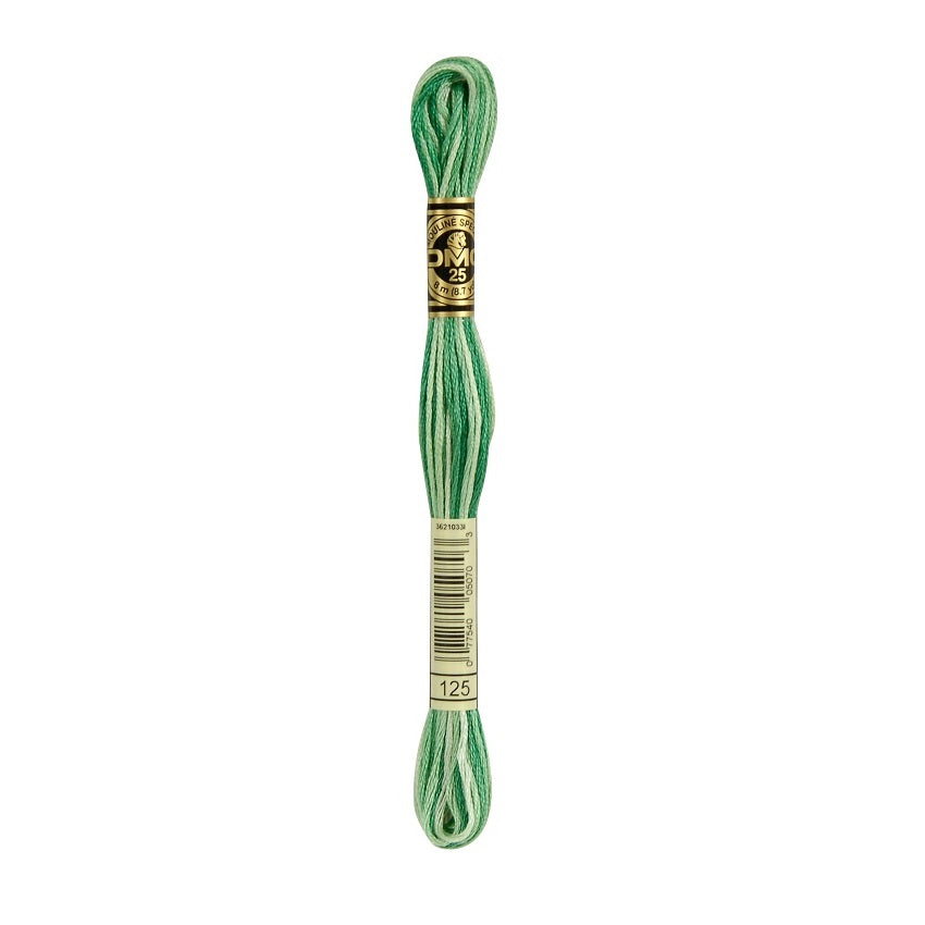 DMC 125 Six Stranded Embroidery Floss Variegated Seafoam Green