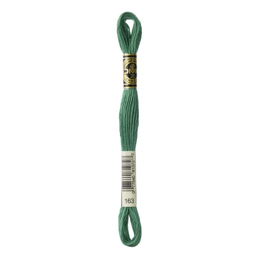 DMC 163 Six Stranded Embroidery Floss Medium Caledon Green