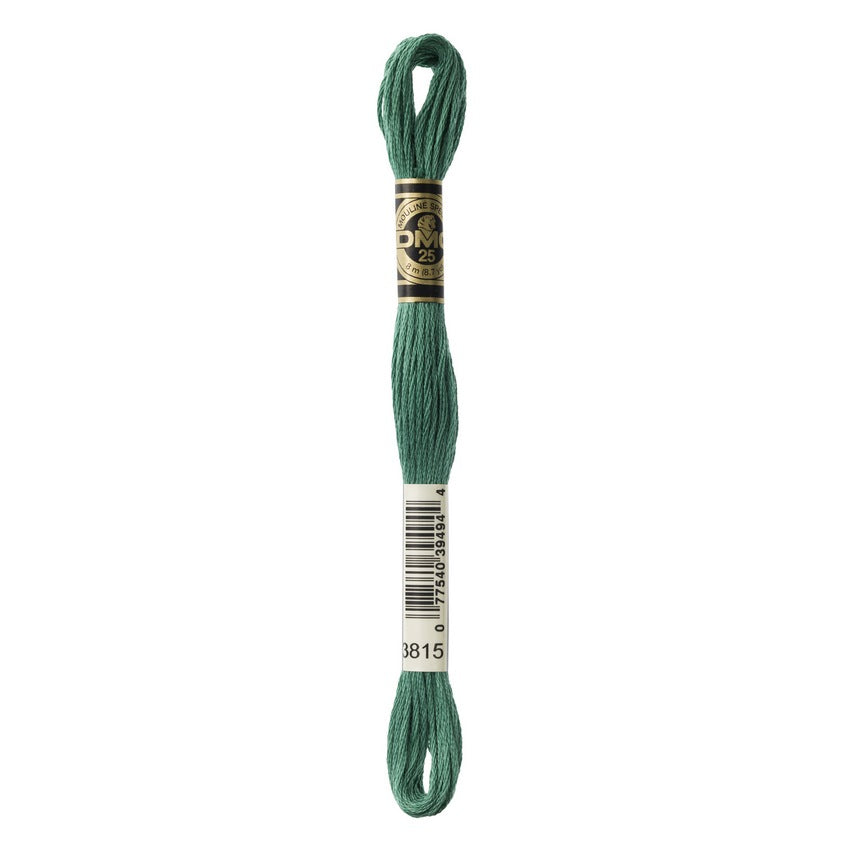 DMC 3815 Six Stranded Embroidery Floss Dark Celadon Green