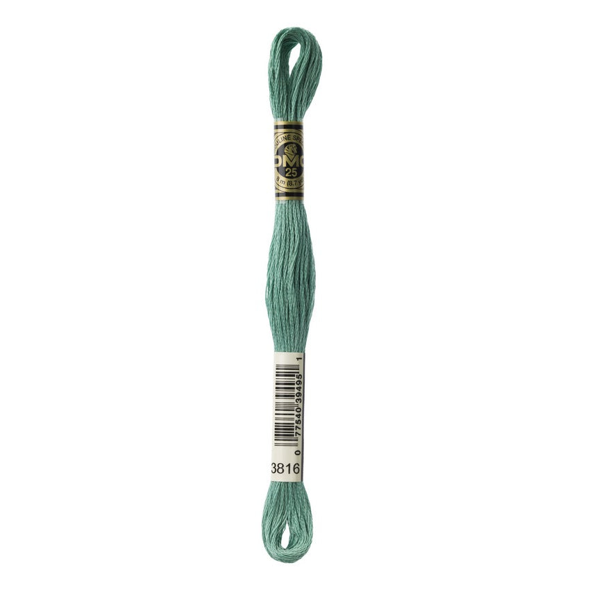 DMC 3816 Six Stranded Embroidery Floss Celadon Green