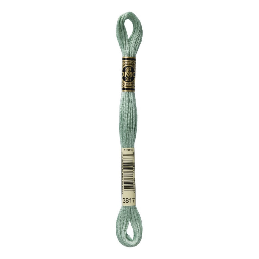 DMC 3817 Six Stranded Embroidery Floss Light Celadon Green
