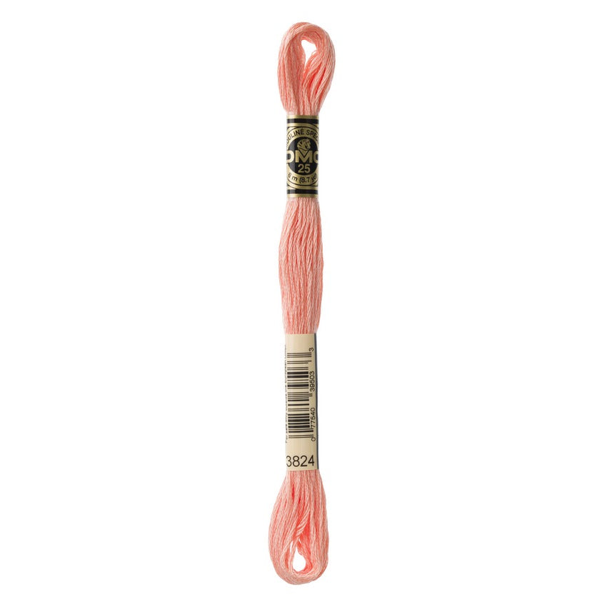 DMC 3824 Six Stranded Embroidery Floss Light Apricot