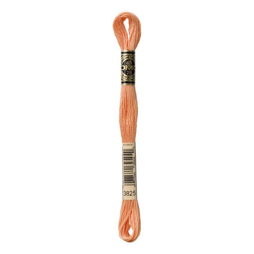 DMC 3825 Six Stranded Embroidery Floss Pale Pumpkin