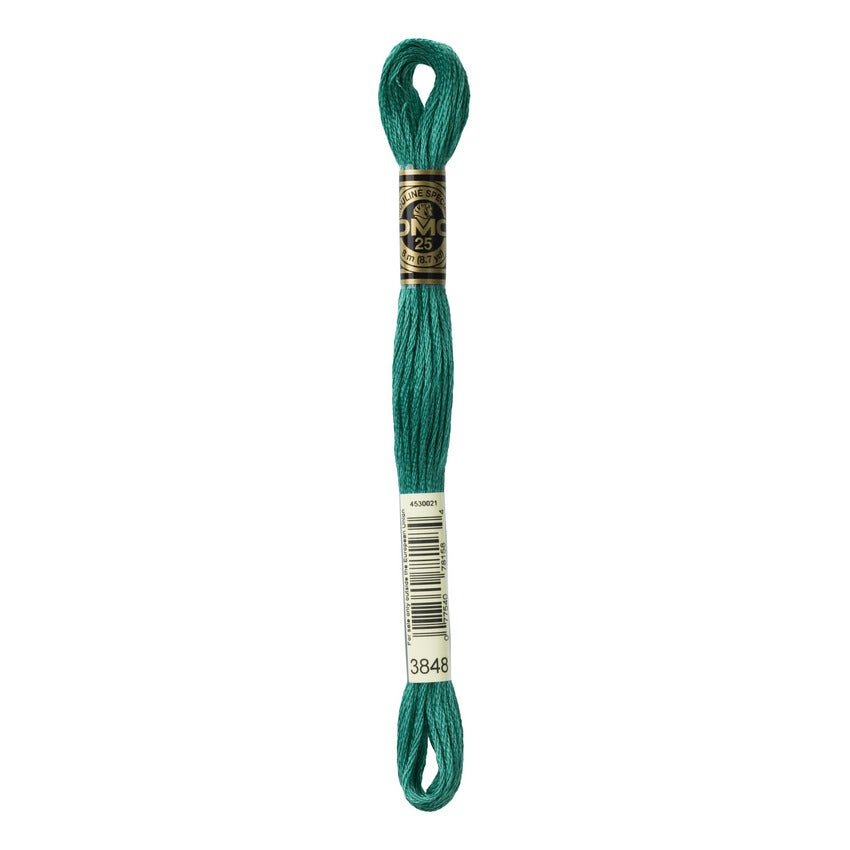DMC 3848 Six Stranded Embroidery Floss Medium Teal Green