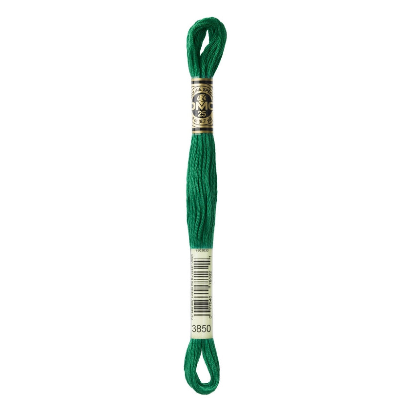 DMC 3850 Six Stranded Embroidery Floss Dark Bright Green