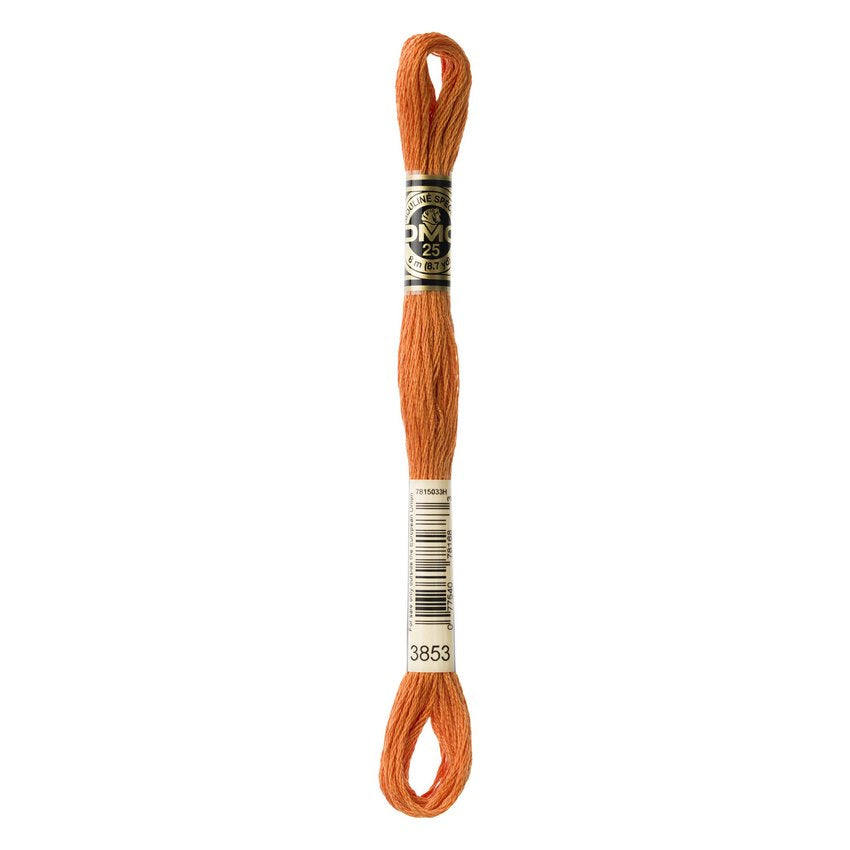 DMC 3853 Six Stranded Embroidery Floss Dark Autumn Gold