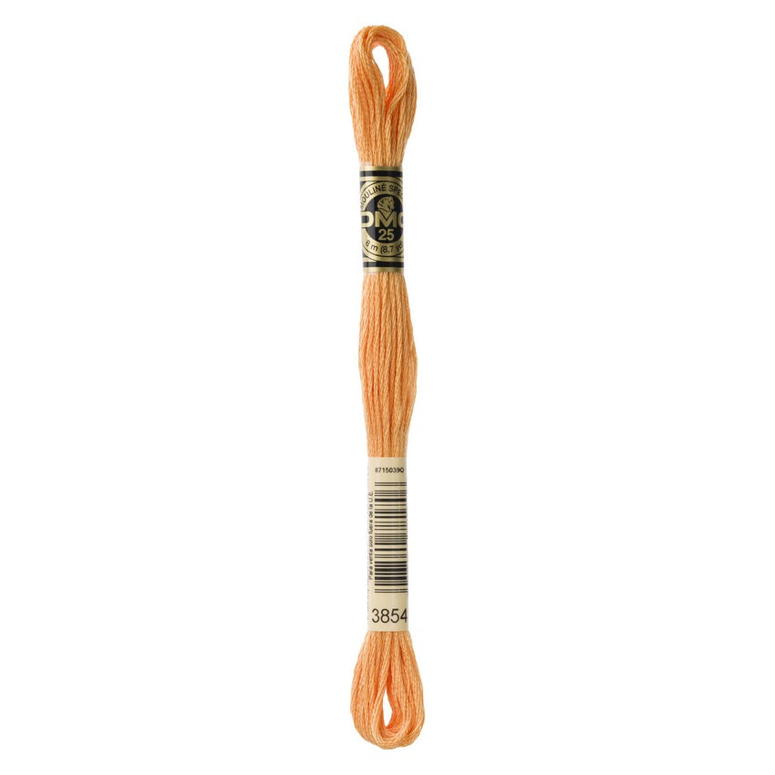 DMC 3854 Six Stranded Embroidery Floss Medium Autumn Gold