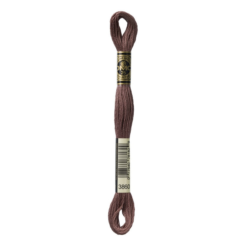 DMC 3860 Six Stranded Embroidery Floss Cocoa