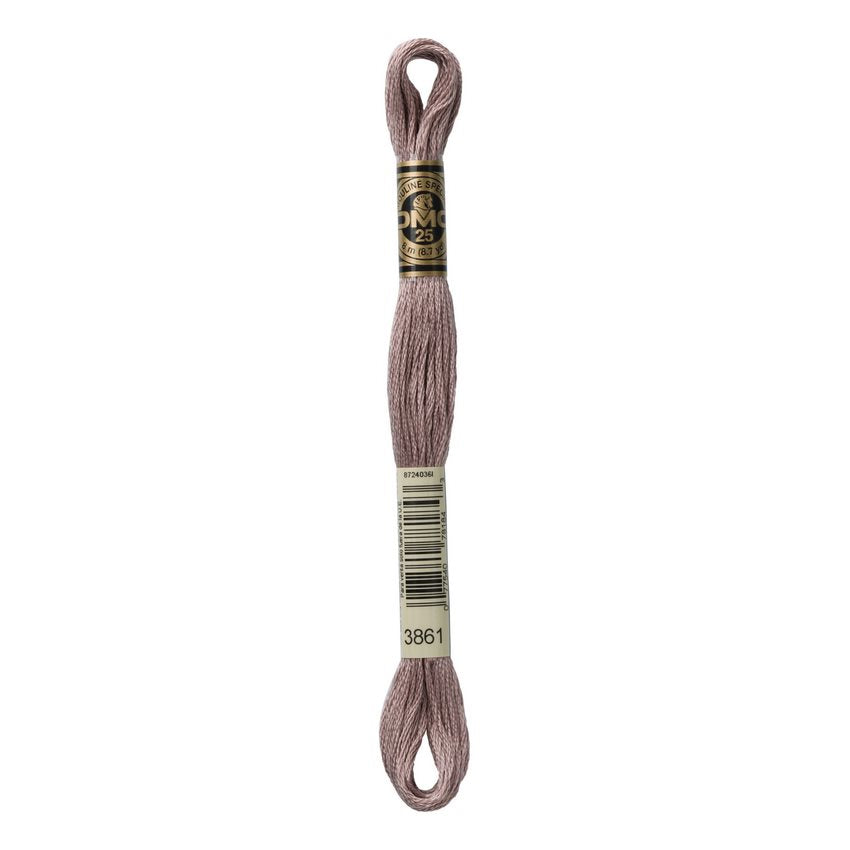 DMC 3861 Six Stranded Embroidery Floss Light Cocoa