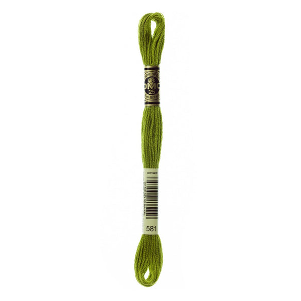 DMC 581 Six Stranded Embroidery Floss Moss Green