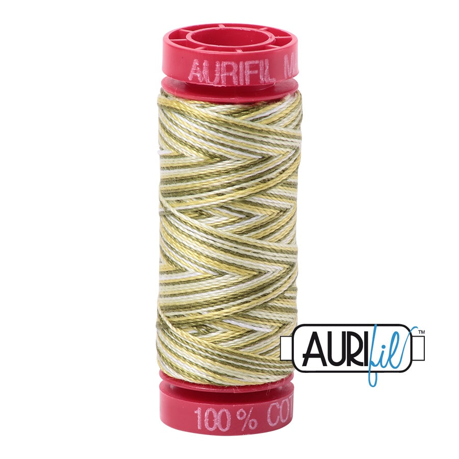 Aurifil Cotton Mako 4653 Spring Prairie Green Variegated Thread Ne 12 50m