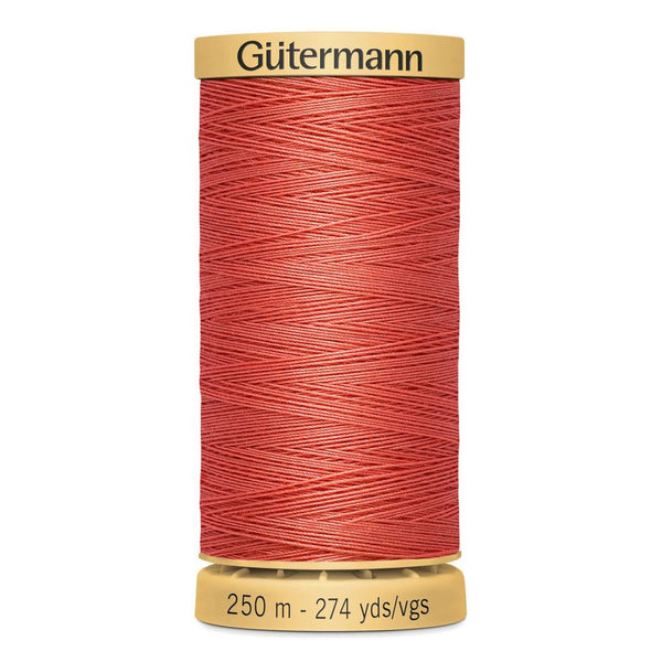Gutermann Quilting 100% Mercerised Cotton Ne 50 Thread Col 2166 250m