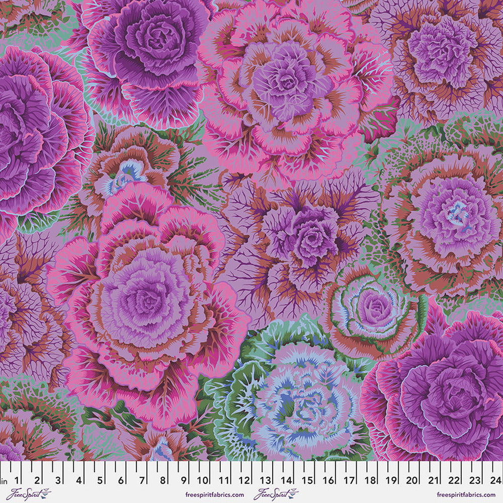Philip Jacobs: Brassica in Magenta