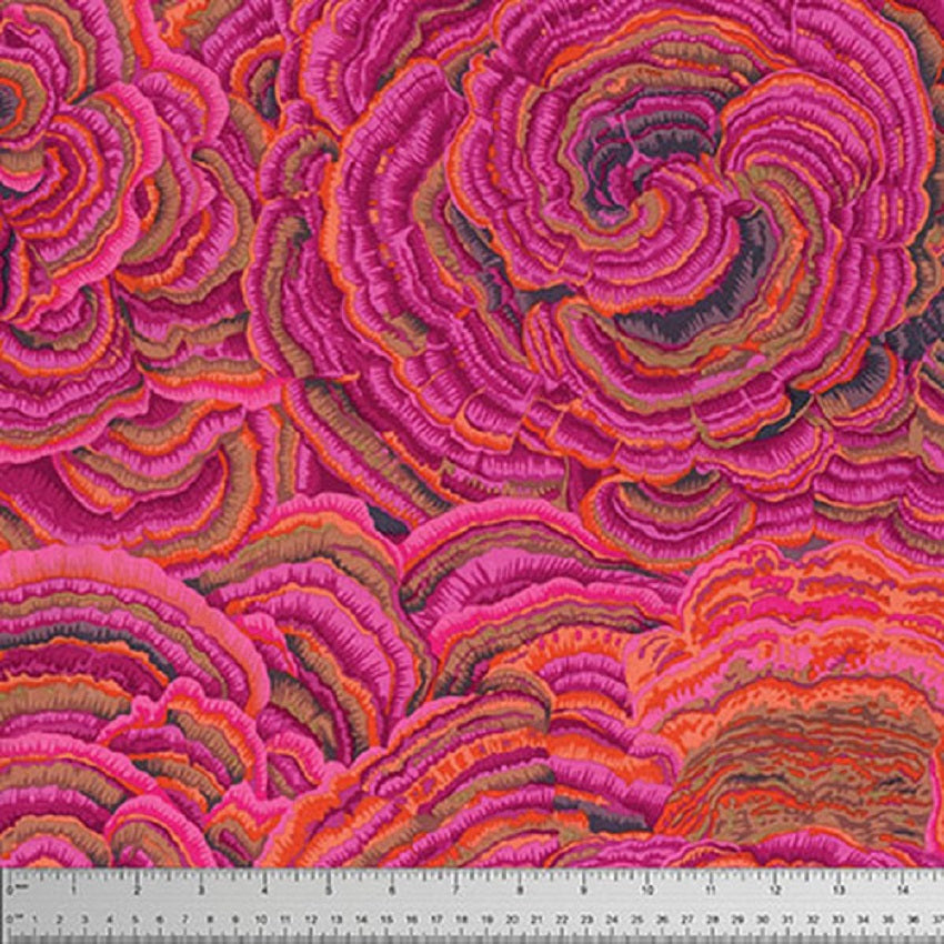 Philip Jacobs: Tree Fungi Pink
