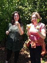 Lemons in Burrawang