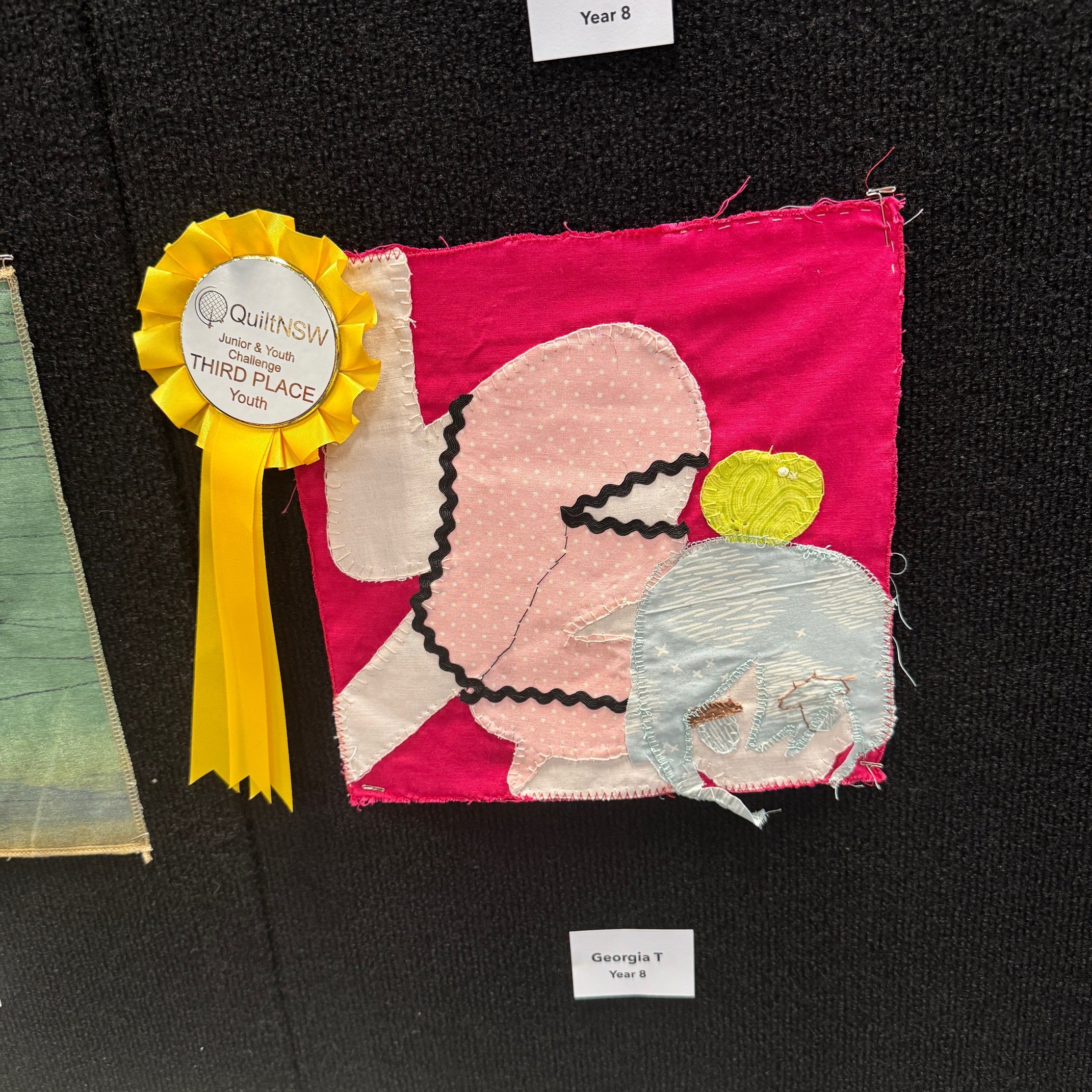2025 QuiltNSW Junior and Youth Block Challenge - Georgia wins 3rd Prize