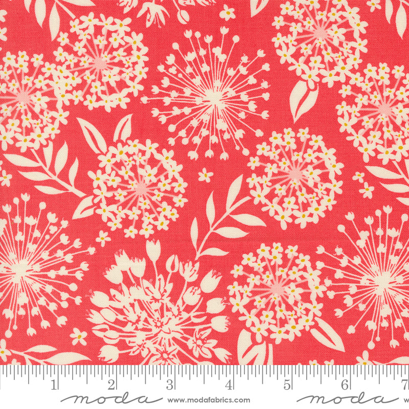 Tango - Kate Spain - Tango Simpatico Tangerine 27332 12 - Moda Fabrics