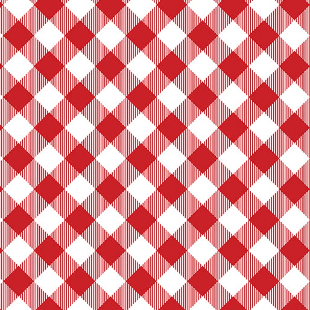 Chillin & Grillin Gingham Check Red/White Kanvas Studio 14359-19