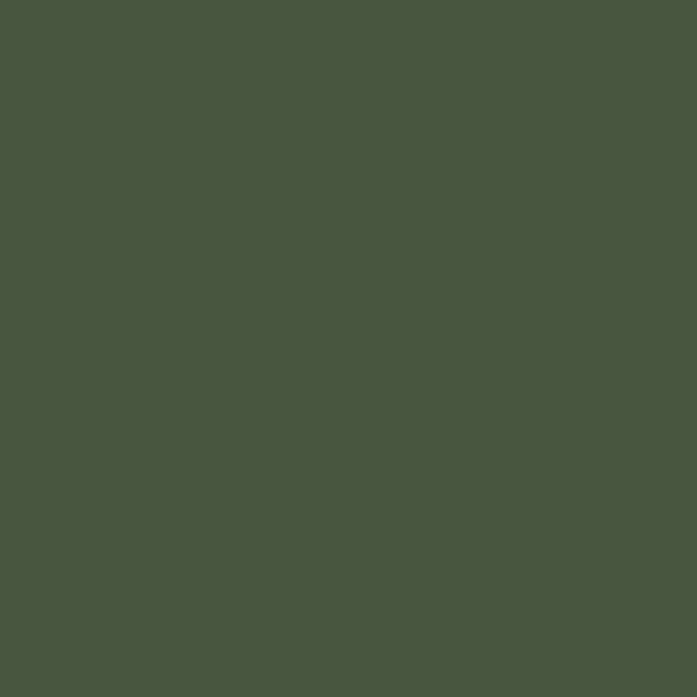 Art Gallery Fabrics - Pure Solid - Eucalyptus Green PE-503