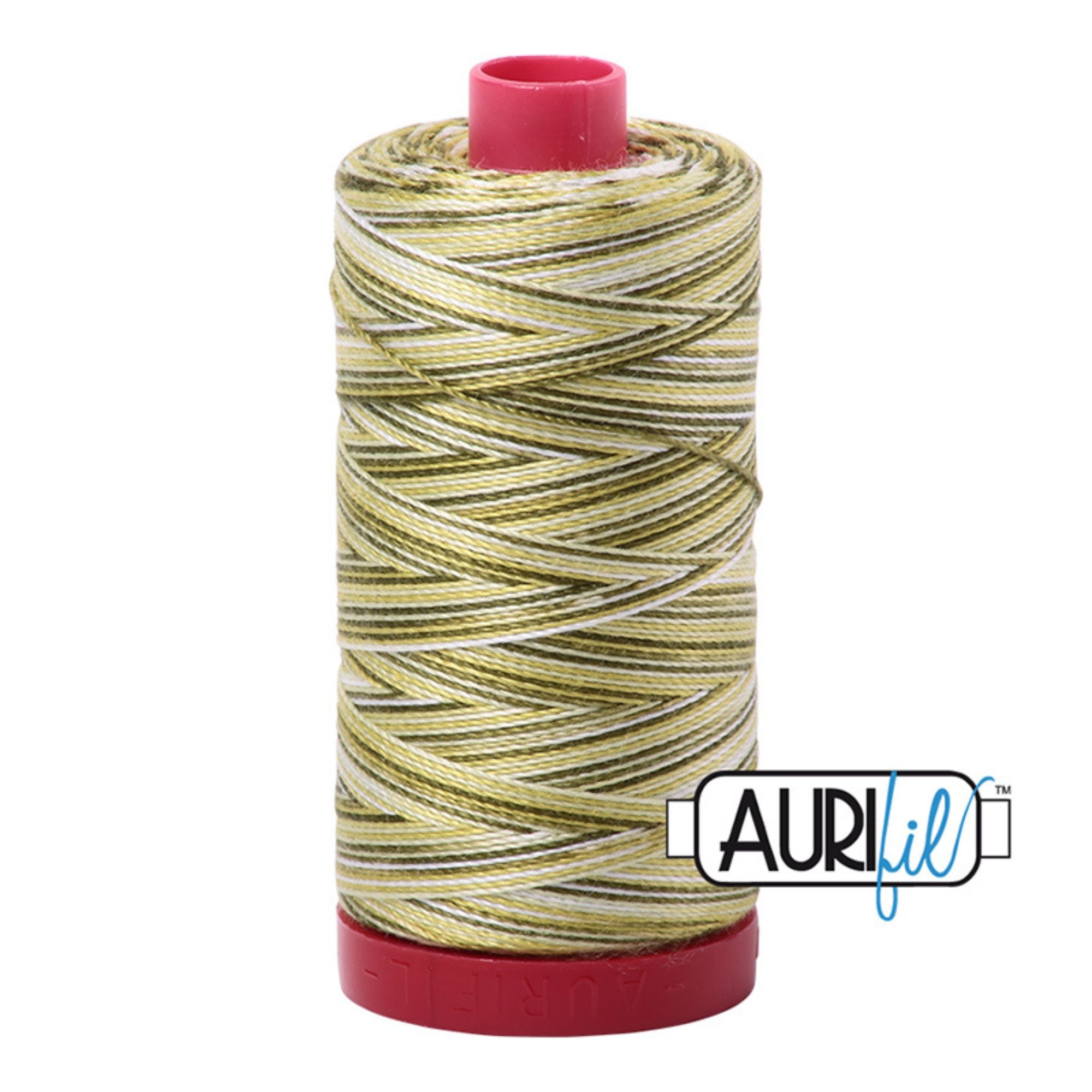 Aurifil Cotton Mako 4653 Spring Prairie Green Variegated Thread Ne 12 325m