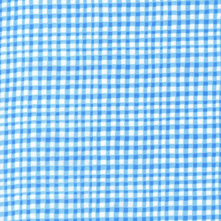 Gingham Play in Blue Michael Miller Fabrics CX7161BLUE