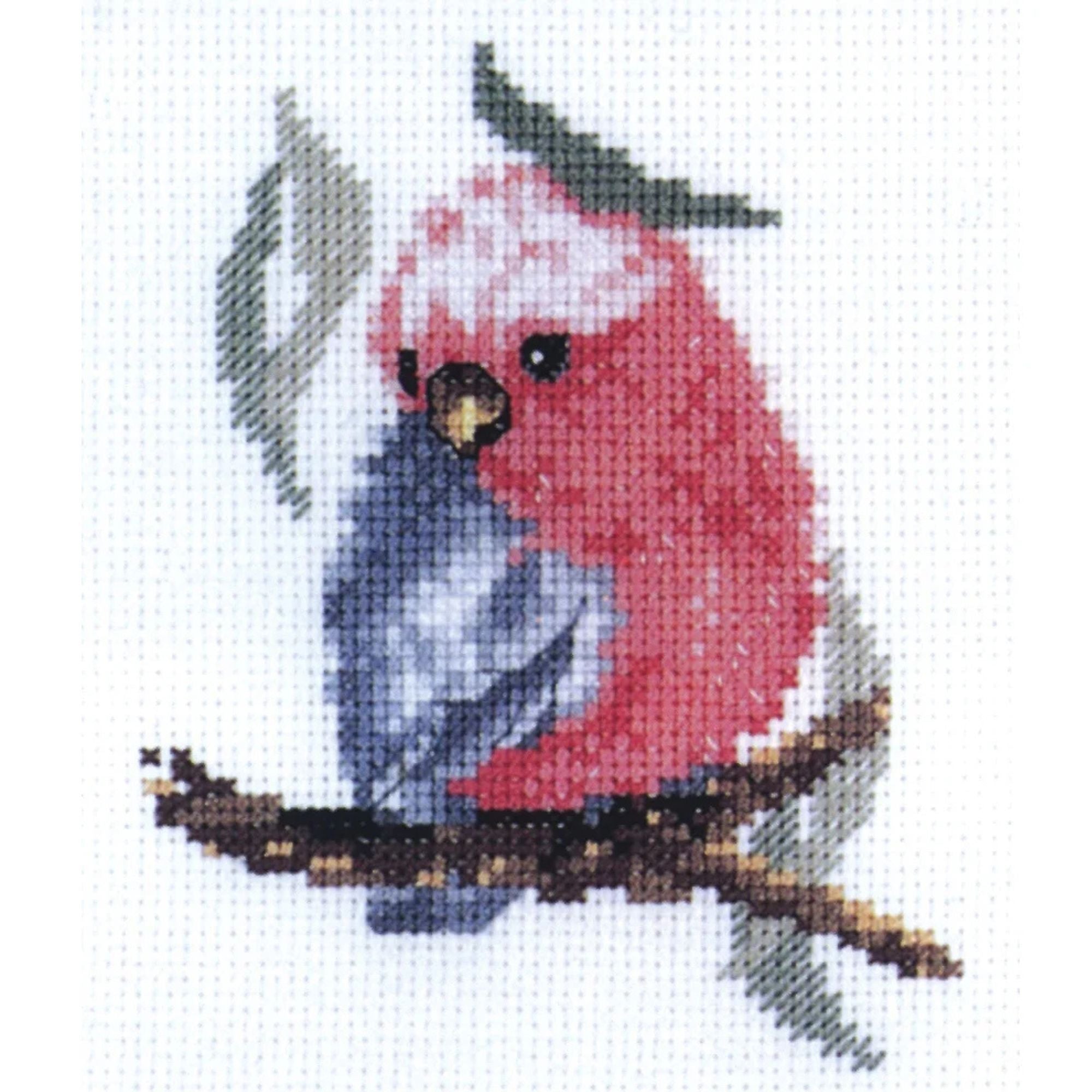 DMC Baby Galah Cross Stitch Kit 15cm x 15cm
