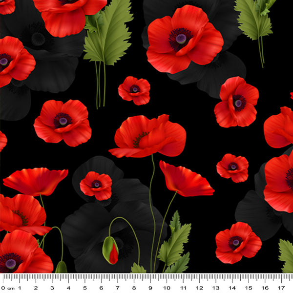 Remembering II Poppies on Black 3095F