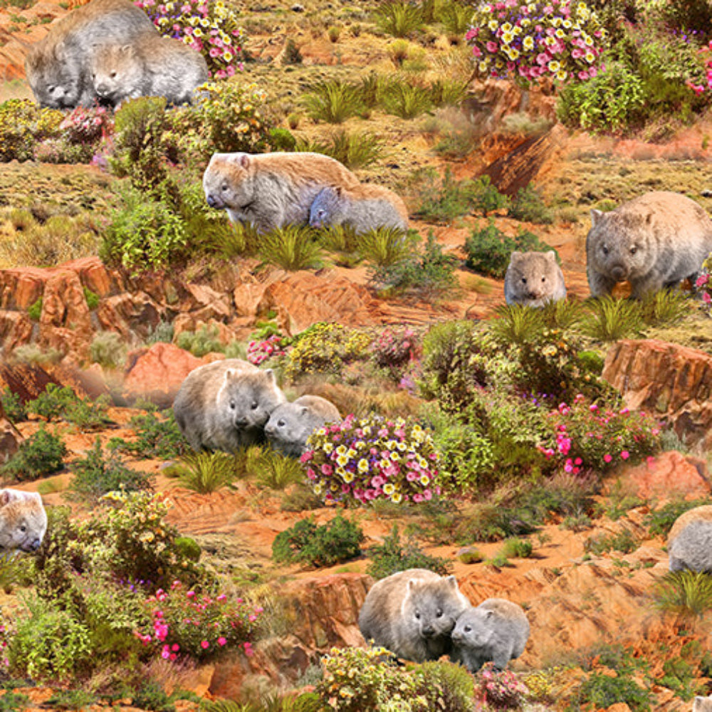 Outback Magic Wombats 4035F