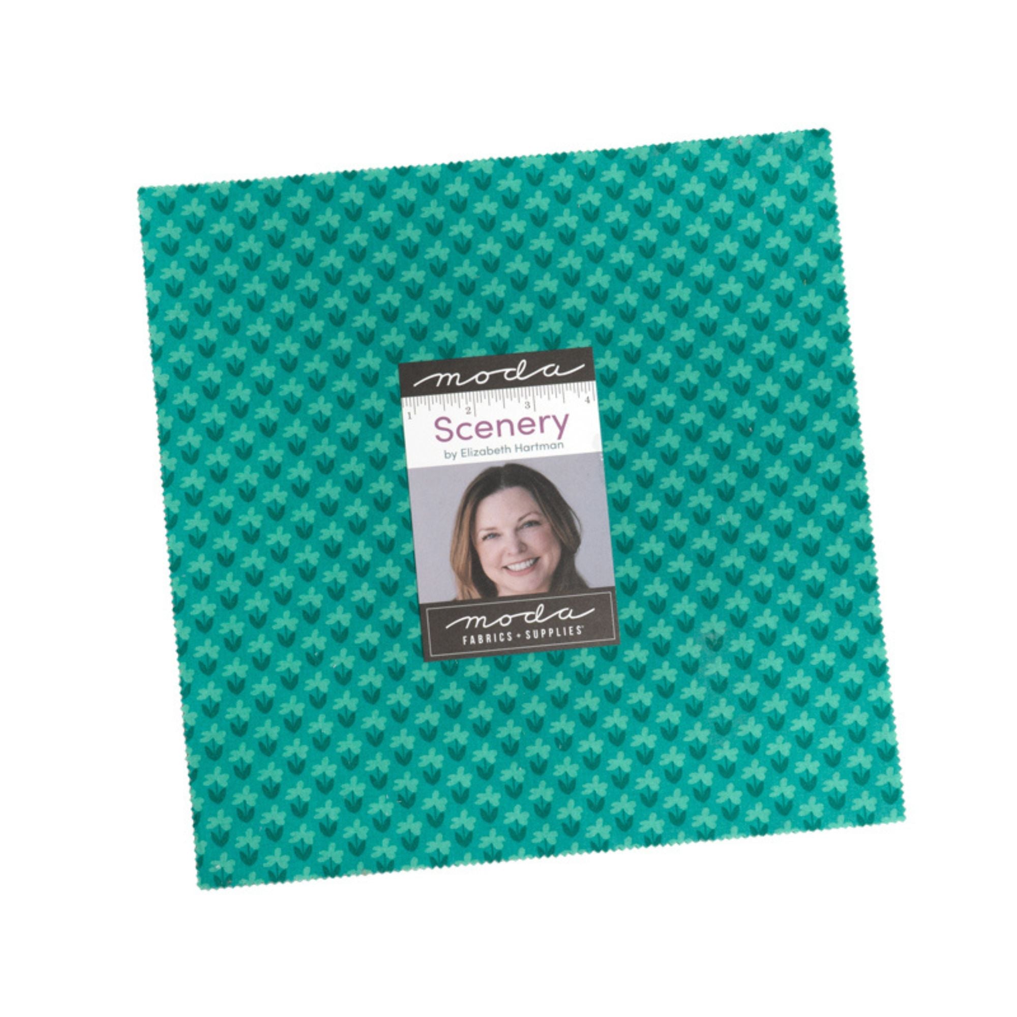 Moda Layer Cake: Scenery by Elizabeth Hartman Layer Cake 51270 LC