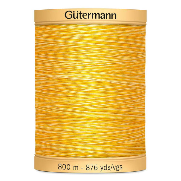 Gutermann Quilting 100% Mercerised Cotton Ne 50 Variegated Thread Col 9918 800m