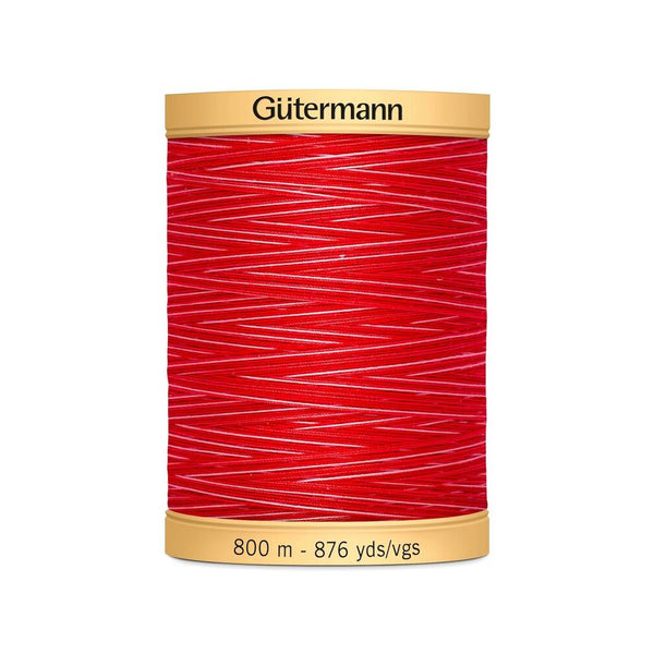 Gutermann Quilting 100% Mercerised Cotton Ne 50 Variegated Thread Col 9973 800m