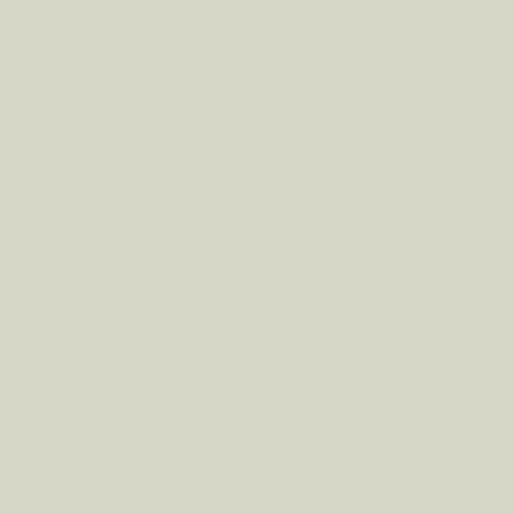 Art Gallery Fabrics Pure Solid: Light Grey PE-419