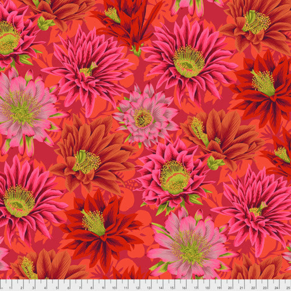 Philip Jacobs: Cactus Flower Cool Red PWPJ096-RED