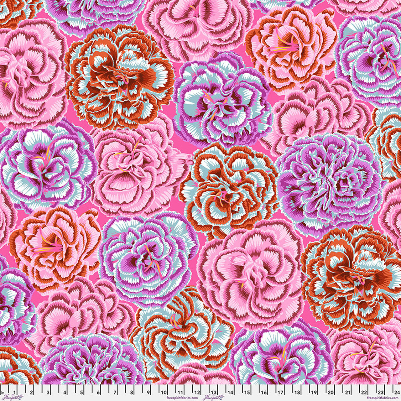 Philip Jacobs: Picatee Carnations Pink PWPJ133-PINK