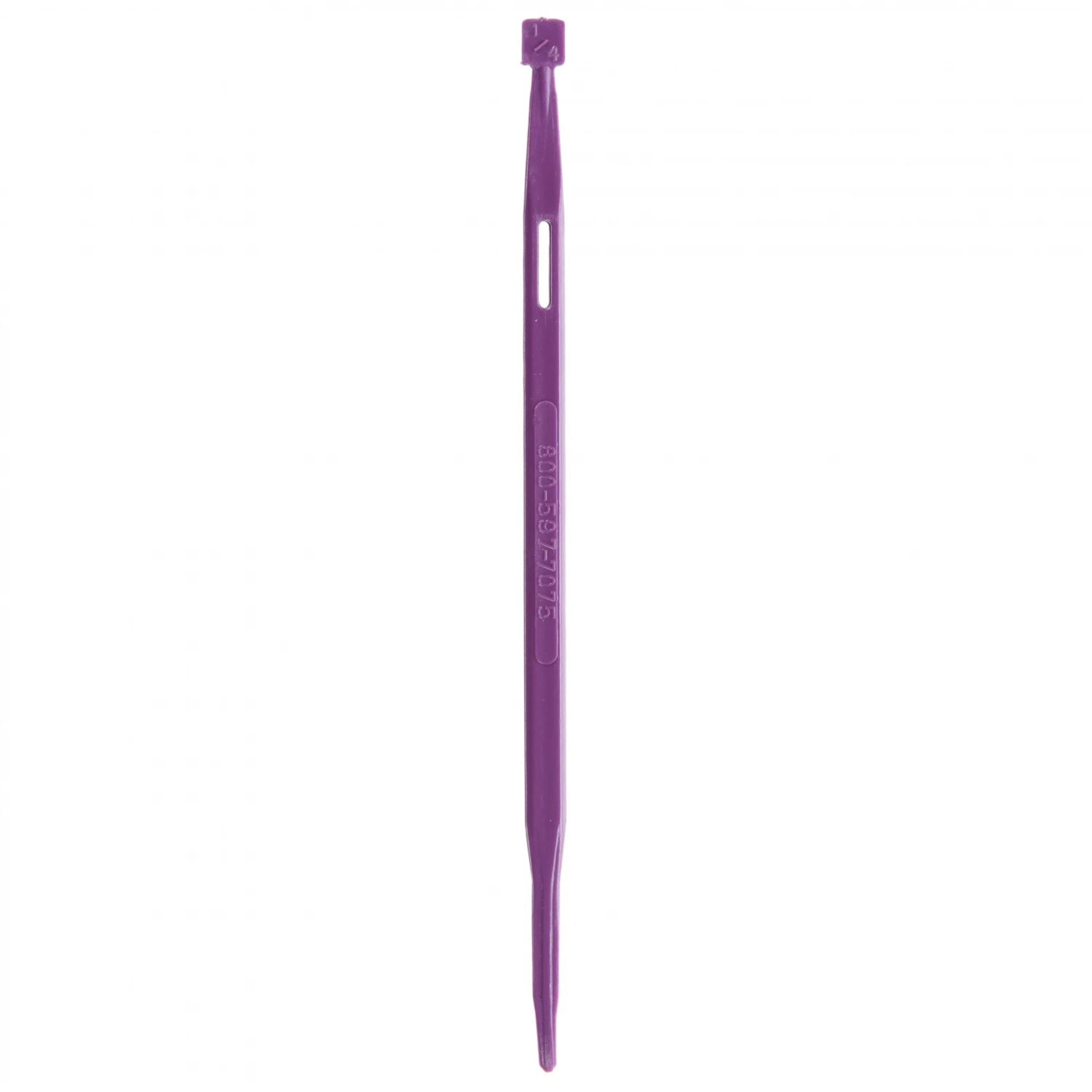 That Purple Thang by Lynn Graves
