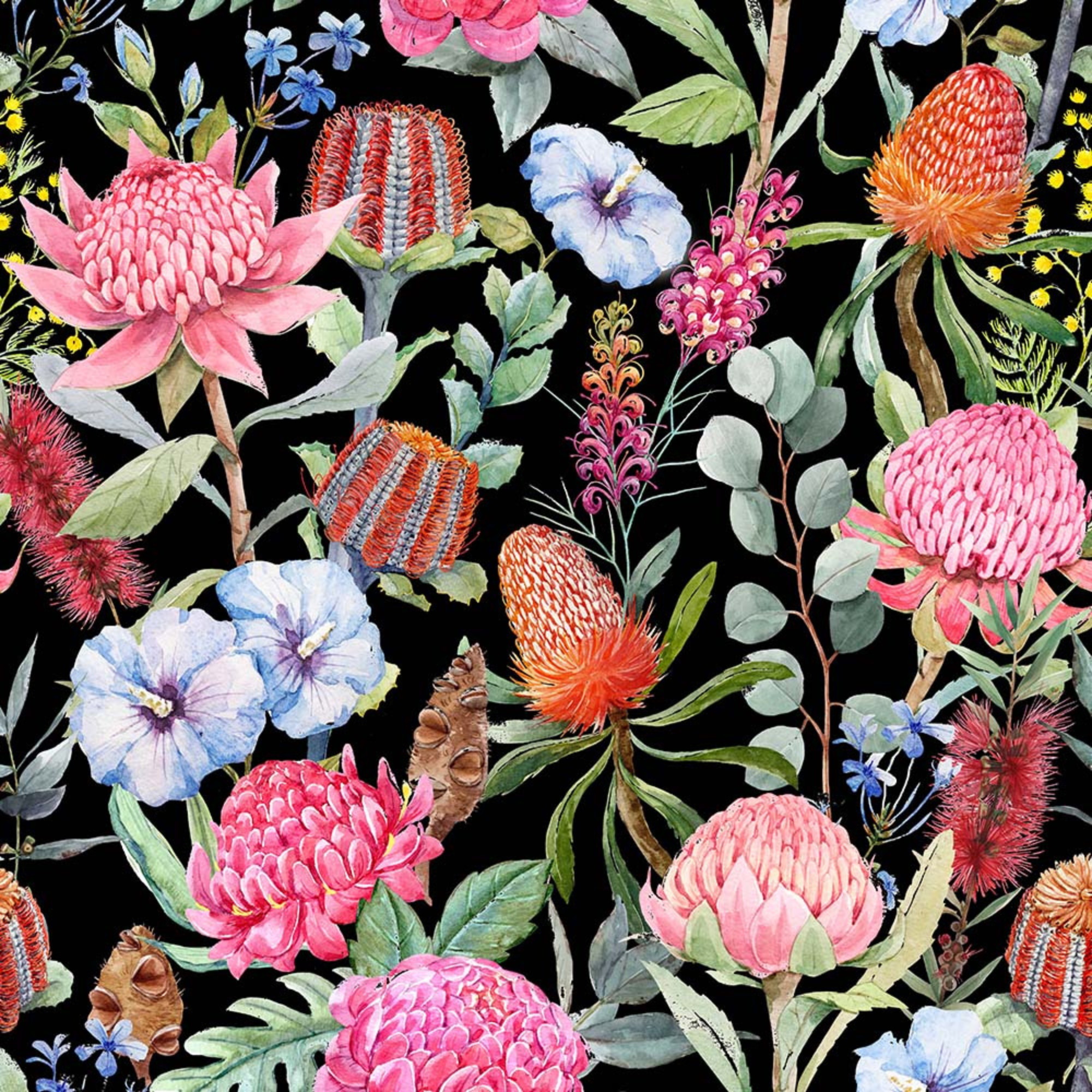 Wildflower Whispers Australian Florals Black 4123B