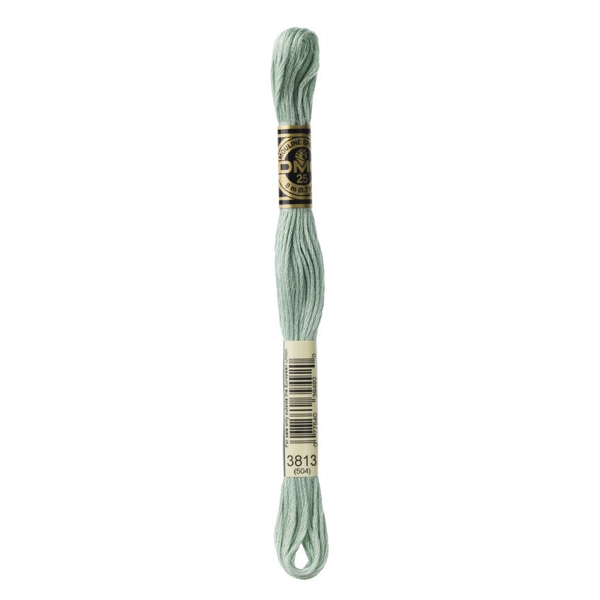 DMC 3813 Six Stranded Embroidery Floss Light Blue Green