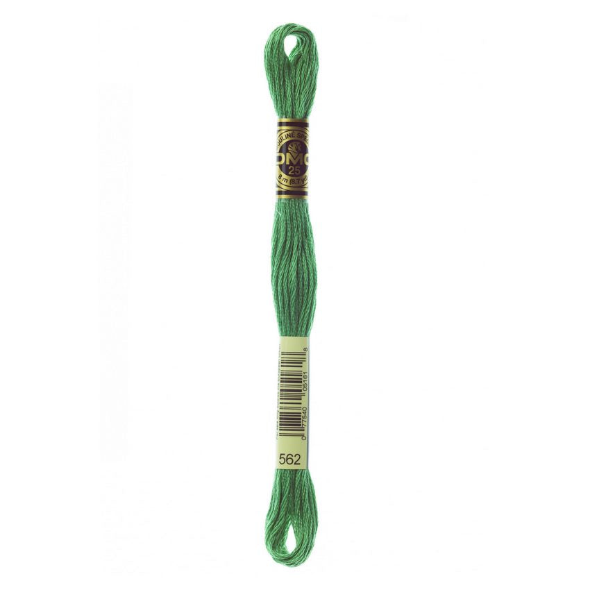 DMC 562 Six Stranded Embroidery Floss Medium Jade