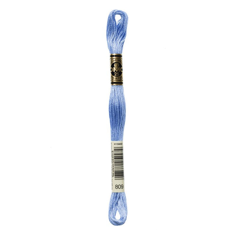DMC 809 Six Stranded Embroidery Floss Delft Blue