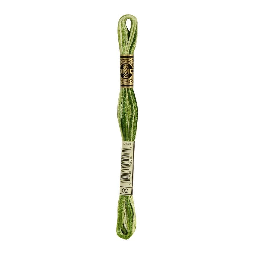 DMC 92 Six Stranded Embroidery Floss Variegated Avocado