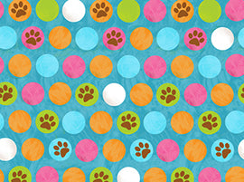 Cats Paws on a Blue Background