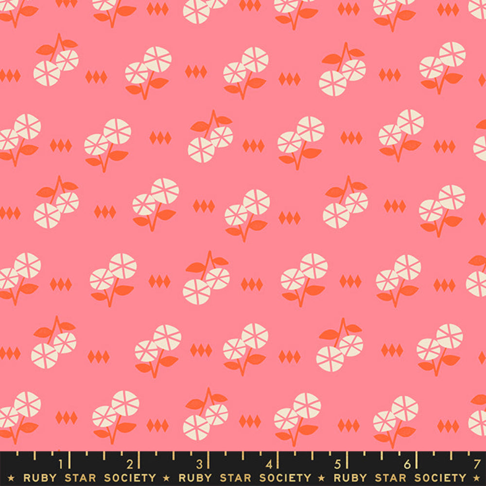 Ruby Star Society - First Light Fruit Flowers Sorbet