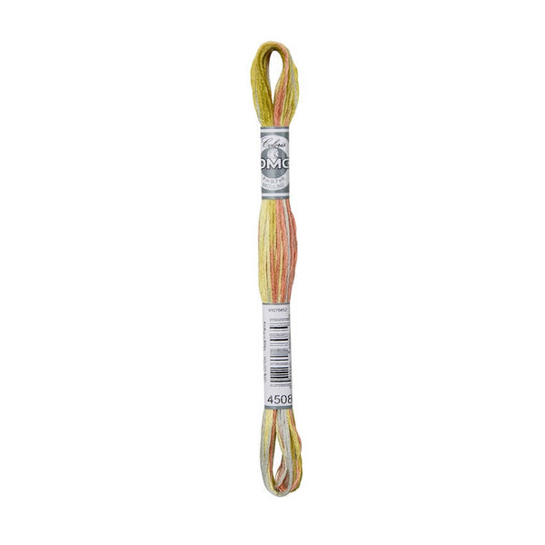 DMC Coloris 4508 Variegated Embroidery Floss Campagne givree